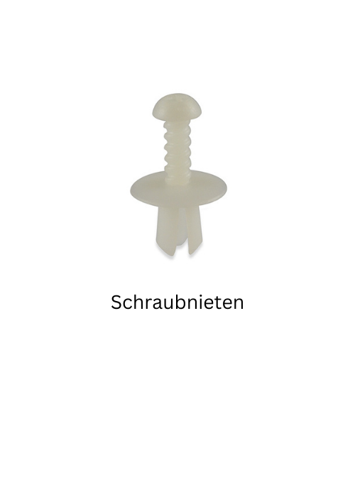 Schraubnieten